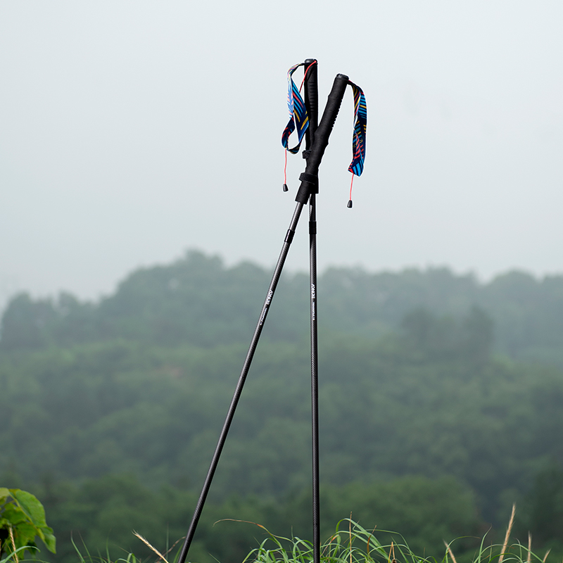 2 個 AONIJIE 折りたたみ式アウトドアクイックロック - Trekking Pole Carbon のレビューと価格